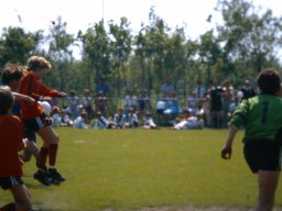 0DIA1981 RAVAKAMP EN ZEIST C1